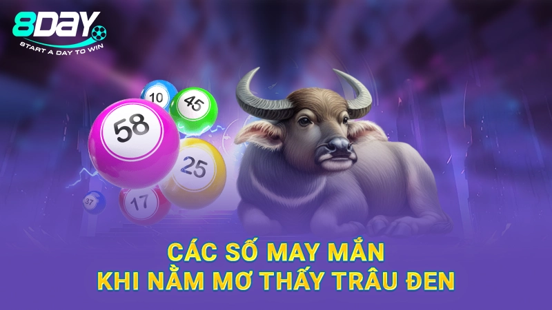 Nằm Mơ Thấy Trâu Đen Đánh Số Gì - Giải Đáp Chi Tiết Cùng 8Day 3 Các số may mắn khi nằm mơ thấy trâu đen