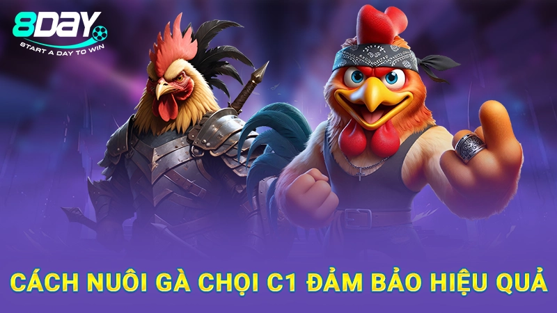 Cách Nuôi Gà Chọi C1 Hiệu Quả, Cực Chuẩn Từ Chuyên Gia 2 Cách nuôi gà chọi C1 đảm bảo hiệu quả