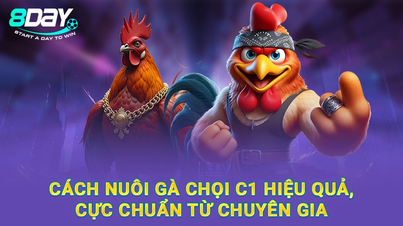 Cách Nuôi Gà Chọi C1 Hiệu Quả, Cực Chuẩn Từ Chuyên Gia