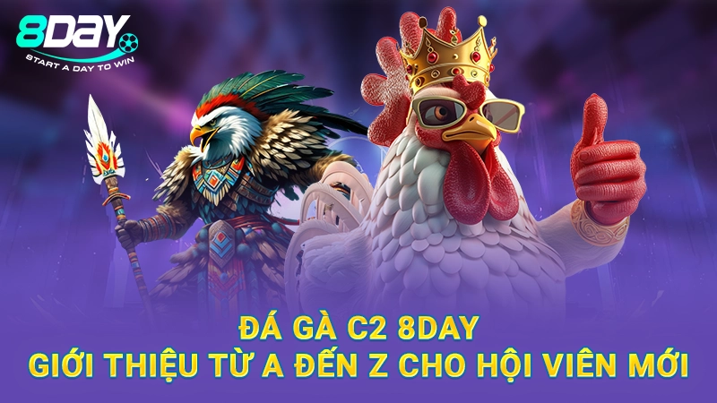 Đá Gà C2 8Day - Giới Thiệu Từ A Đến Z Cho Hội Viên Mới