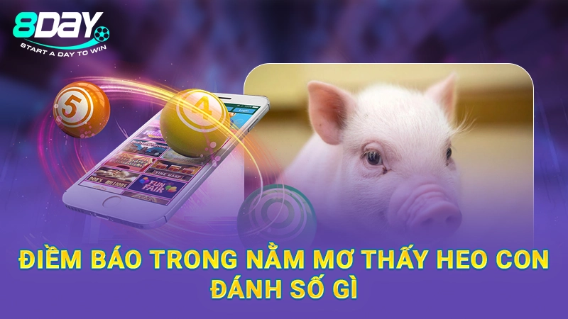 Nằm Mơ Thấy Heo Con Đánh Số Gì Chuẩn? Giải Mã Cùng 8Day 1 Điềm báo trong nằm mơ thấy heo con đánh số gì