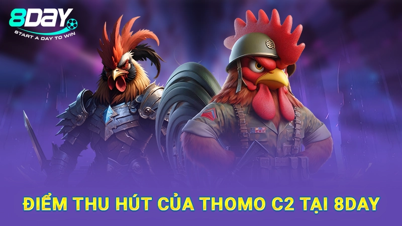 Đá Gà C2 8Day - Giới Thiệu Từ A Đến Z Cho Hội Viên Mới 2 Điểm thu hút của Thomo C2 tại 8Day