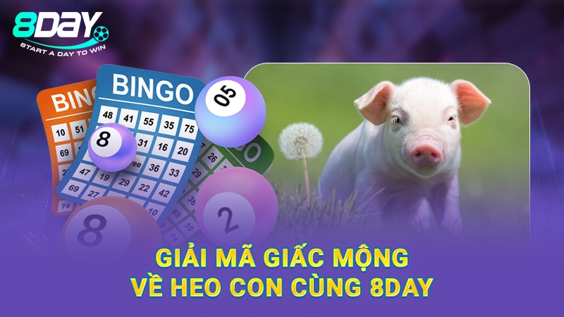 Nằm Mơ Thấy Heo Con Đánh Số Gì Chuẩn? Giải Mã Cùng 8Day 3 Giải mã giấc mộng về heo con cùng 8Day