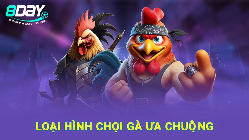Loại hình chọi gà ưa chuộng
