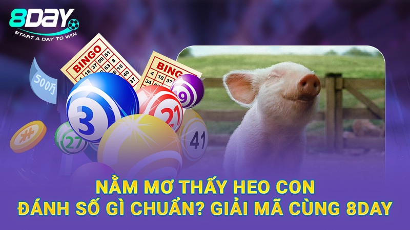 Nằm Mơ Thấy Heo Con Đánh Số Gì Chuẩn? Giải Mã Cùng 8Day