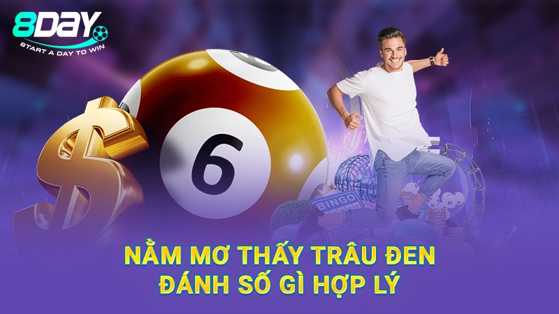 Nằm Mơ Thấy Trâu Đen Đánh Số Gì - Giải Đáp Chi Tiết Cùng 8Day 1 Nằm mơ thấy trâu đen đánh số gì hợp lý