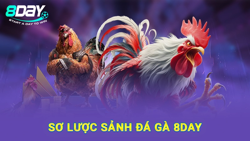 Sơ lược sảnh đá gà 8Day