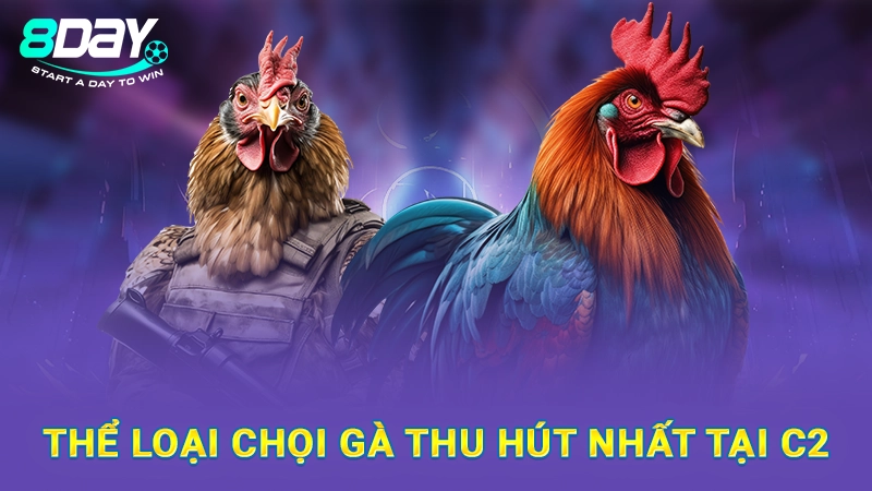Đá Gà C2 8Day - Giới Thiệu Từ A Đến Z Cho Hội Viên Mới 3 Thể loại chọi gà thu hút nhất tại C2