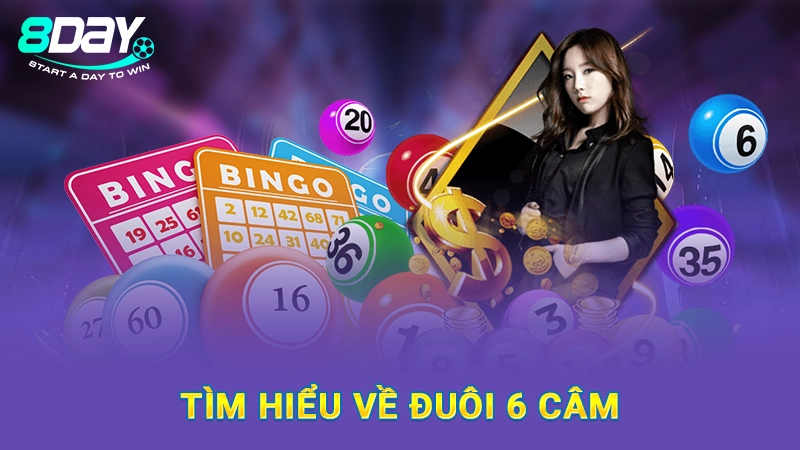 Tìm hiểu về đuôi 6 câm