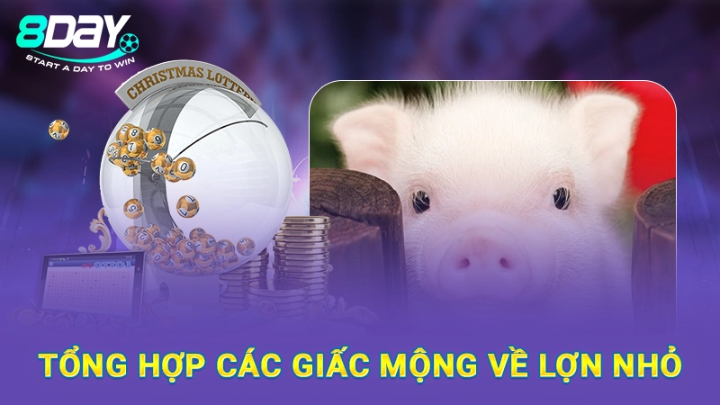 Nằm Mơ Thấy Heo Con Đánh Số Gì Chuẩn? Giải Mã Cùng 8Day 2 Tổng hợp các giấc mộng về lợn nhỏ