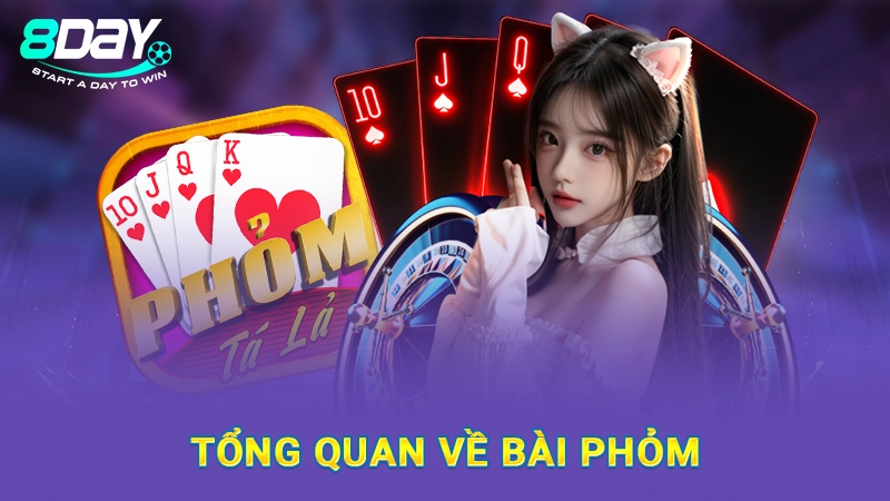 Cách Chơi Phỏm - Kinh Nghiệm Chinh Phục Ván Bài 8Day 1 Tổng quan về bài phỏm